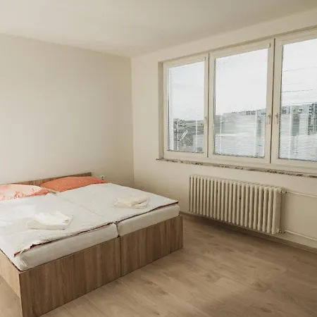 Apartment Private Spacious Modern With Free Parking
